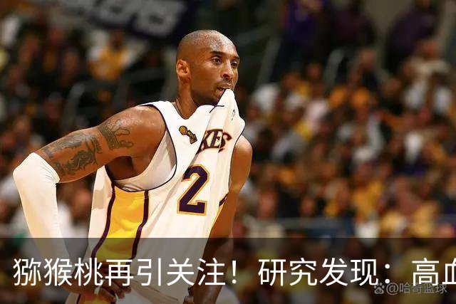 猕猴桃再引关注！研究发现：高血脂经常吃猕猴桃，或收获几个好处